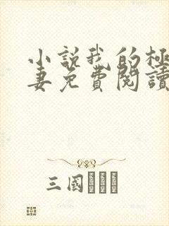 小说我的极品娇妻免费阅读全文