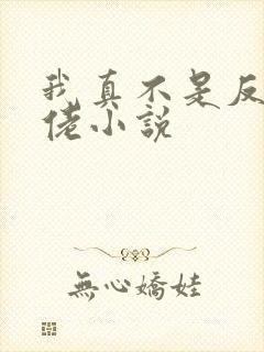 我真不是反派大佬小说