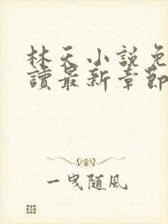 林天小说免费阅读最新章节