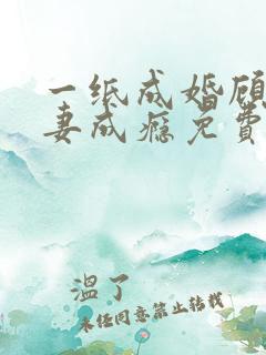 一纸成婚顾少宠妻成瘾免费阅读