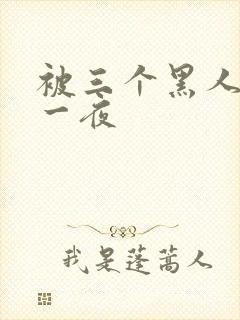 被三个黑人操了一夜