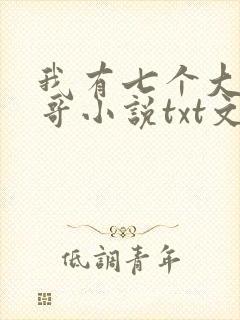 我有七个大佬哥哥小说txt文本下载