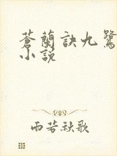 苍兰诀九鹭非香小说