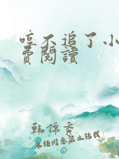 哼不追了小说免费阅读