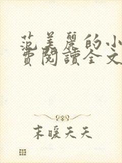 范美丽的小说免费阅读全文最新章节