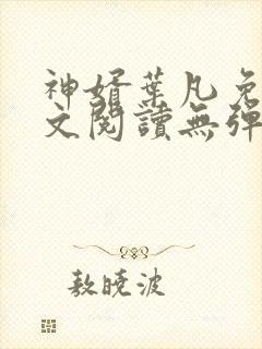 神婿叶凡免费全文阅读无弹窗