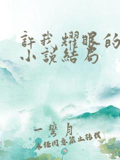 许我耀眼的原著小说结局