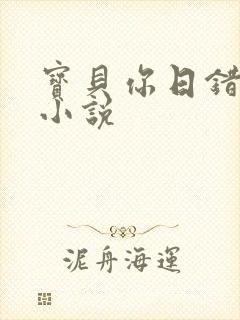 宝贝你日错人了小说