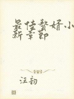 最佳赘婿小说最新章节