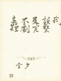 来不及说我爱你短剧完整