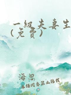 一级夫妻生活片(免费)