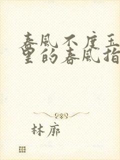 春风不度玉门关里的春风指的是