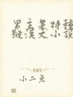 男主是特种兵的糙汉文小说