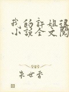 我的许姐很温柔小说全文阅读