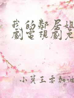 我的邻居姐姐韩剧电视剧免费观看