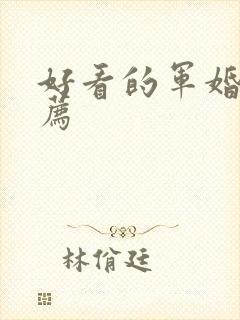 好看的军婚文推荐