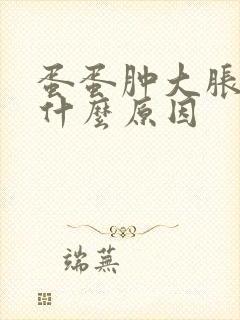 蛋蛋肿大胀痛是什么原因