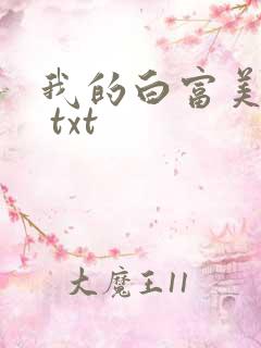 我的白富美老婆 txt
