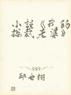 小说《我的美女总裁老婆》