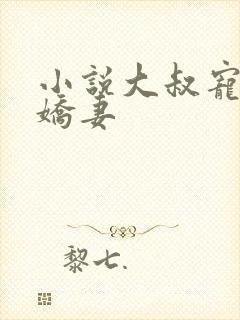 小说大叔宠坏小娇妻