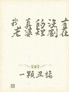 我真的没有七个老婆短剧在线观看