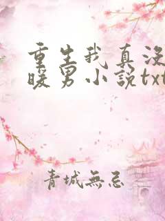 重生我真没想当暖男小说txt