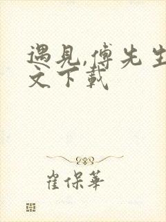 遇见,傅先生全文下载