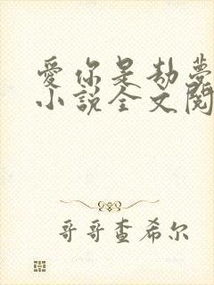 爱你是劫梦成空小说全文阅读