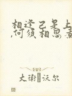 相逢己是上上签,何须相思煮余年