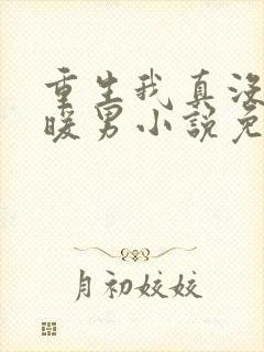 重生我真没想当暖男小说免费阅读全文