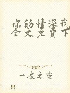 你的情深我不配全文免费下载