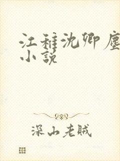 江稚沈卿尘免费小说