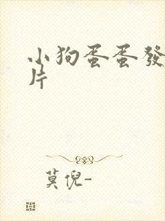 小狗蛋蛋发红图片