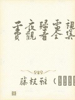 子夜归电视剧免费观看全集完整版