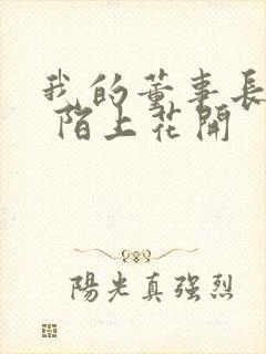 我的董事长老婆 陌上花开