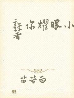 许你耀眼小说原著