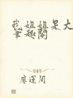 我姐姐是大明星笔趣阁