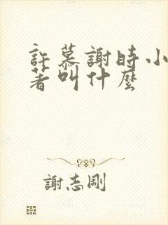 许慕谢时小说原著叫什么