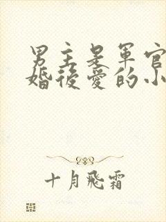 男主是军官的先婚后爱的小说