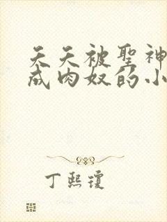 夭夭被圣神调教成肉奴的小说