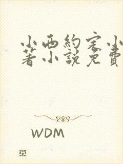 小西约定小说原著小说免费阅读