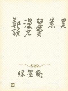 郑漫儿叶昊的小说免费