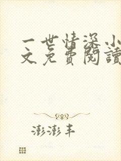 一世情深小说全文免费阅读