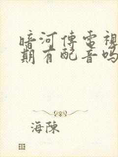 暗河传电视剧后期有配音吗