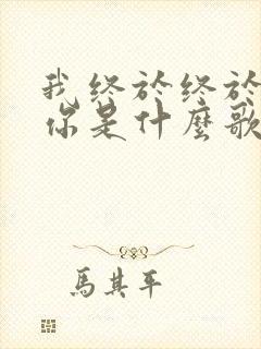 我终于终于失去你是什么歌