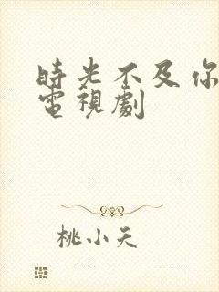 时光不及你温柔电视剧