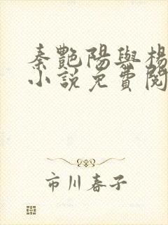 秦艳阳与杨飞的小说免费阅读全文