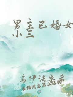 男主已婚女主是小三