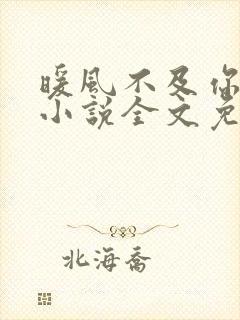 暖风不及你情深小说全文免费阅读无弹窗