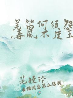 羌笛何须怨杨柳,春风不度玉门关翻译